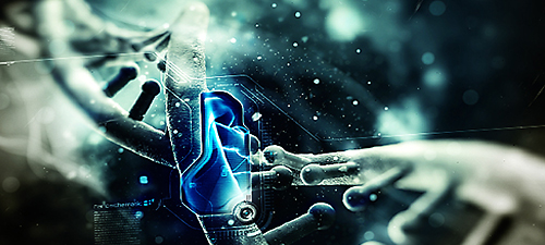 Магическая Экспертиза